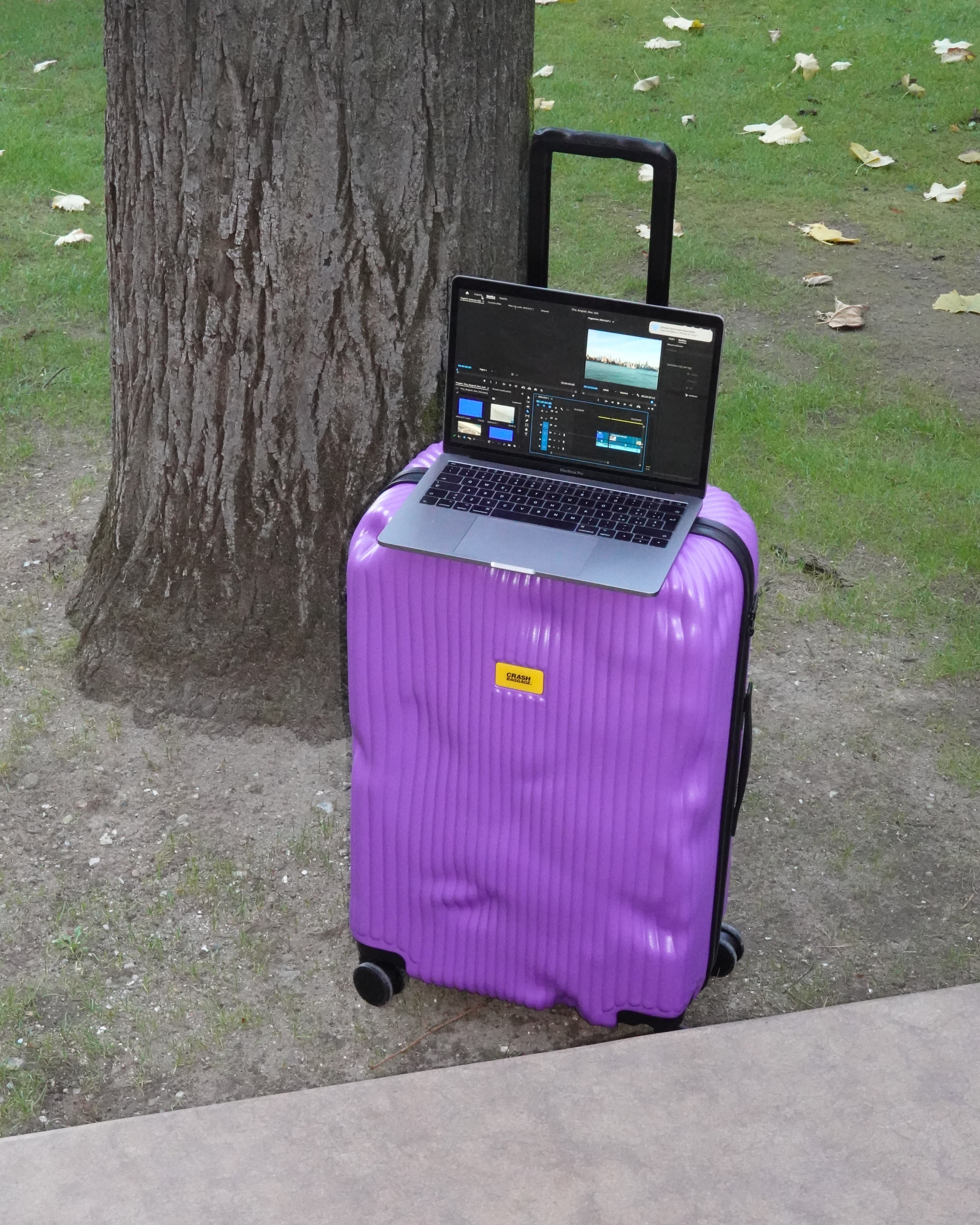 1_2 | Crash Baggage