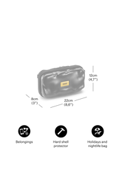 MINI ICON - Silver | Crash Baggage